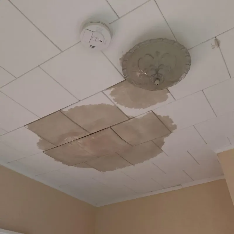 Ceiling Water Damage Repair in Drexel, OH