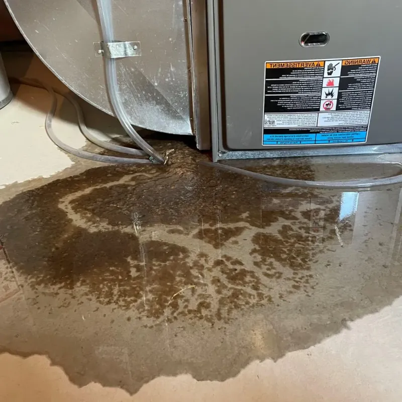 Pipe Burst and Leak Restoration in Drexel, OH